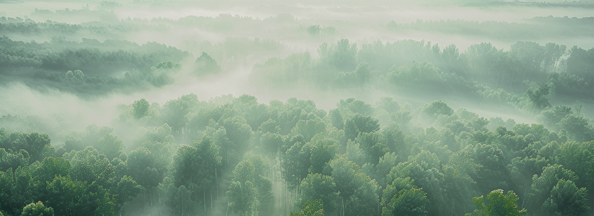 博天堂(918)官方网站 - 让你更杰出