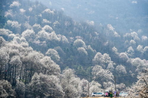 博天堂(918)官方网站 - 让你更杰出